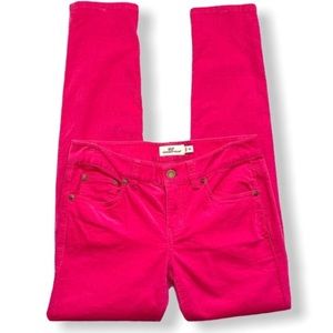 Vineyard Vines Velour Hot Pink Pants Size 00